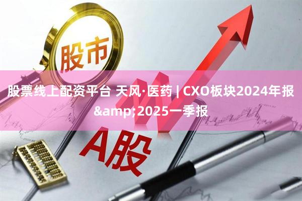 股票线上配资平台 天风·医药 | CXO板块2024年报&2025一季报