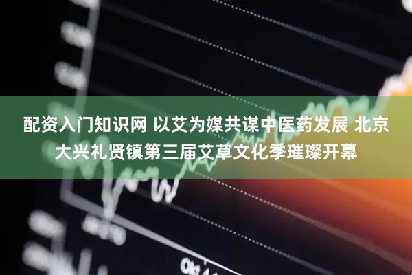 配资入门知识网 以艾为媒共谋中医药发展 北京大兴礼贤镇第三届艾草文化季璀璨开幕