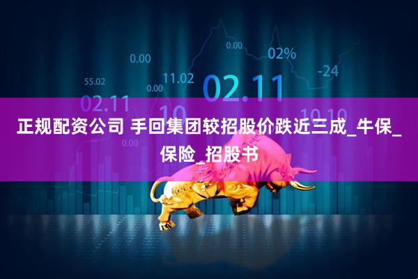 正规配资公司 手回集团较招股价跌近三成_牛保_保险_招股书
