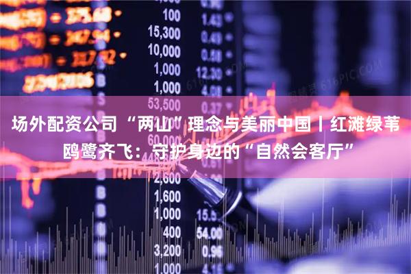 场外配资公司 “两山”理念与美丽中国丨红滩绿苇 鸥鹭齐飞：守护身边的“自然会客厅”